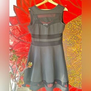 Zenagoo Black Fit-and-Flare Mesh Panel Mini Dress L-xL